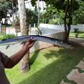 Another fish bought from a fisherboat on the beach